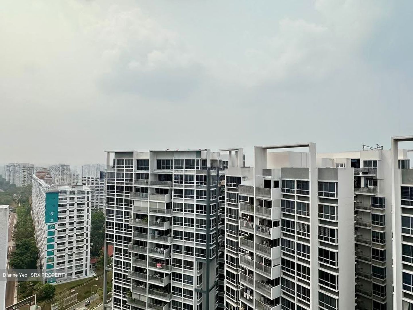 Oasis @ Elias (D18), Condominium #622128061